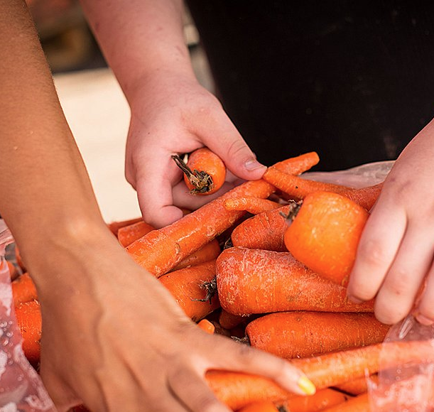 Photo 3 from GROVE CITY FOOD PANTRY-EMERGENCY SERVICE INC